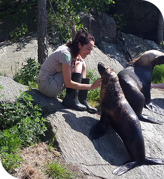 laura riem avec otaries